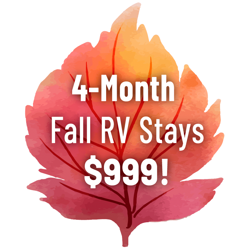 cobble fall rv stays call out 999